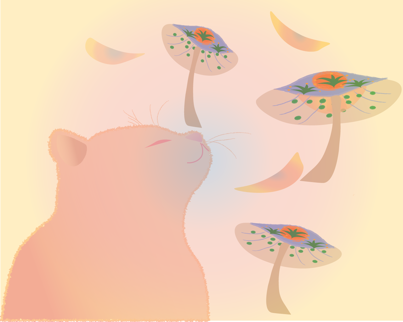 Cat Chill in Warm light