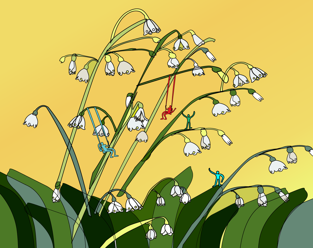 lily flower web version